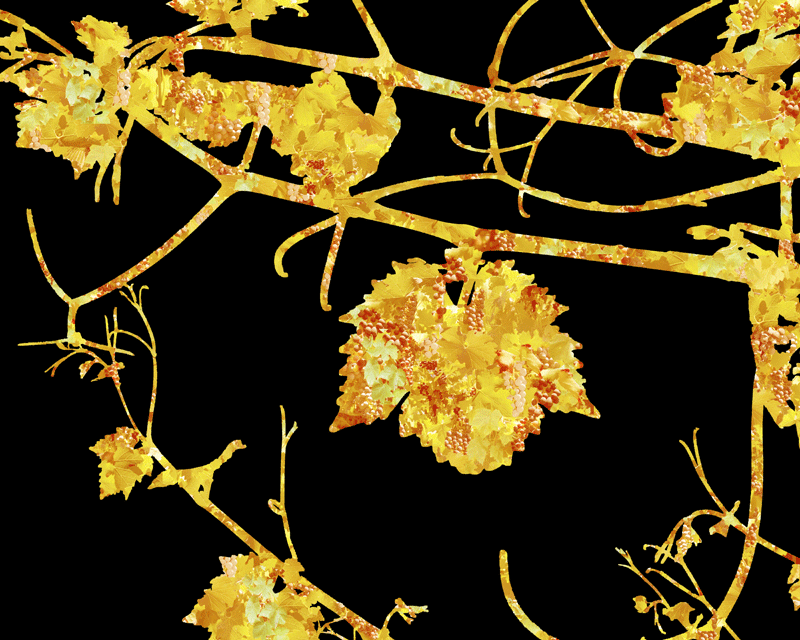 Vine 4 - Susan Searway Art & Design © 2016