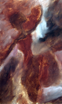 Figurative Drawing Series - Susan Searway Art & Design © 2013