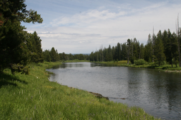 Nature's Persona - Landscape Series - Susan Searway Art & Design © 2013