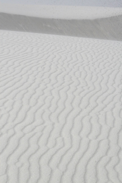 Nature's Persona - Places Series - Susan Searway Art & Design © 2013