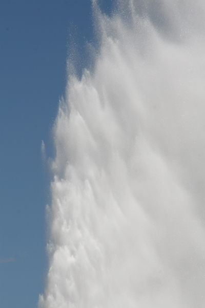 Nature's Persona - Water Series - Susan Searway Art & Design © 2013