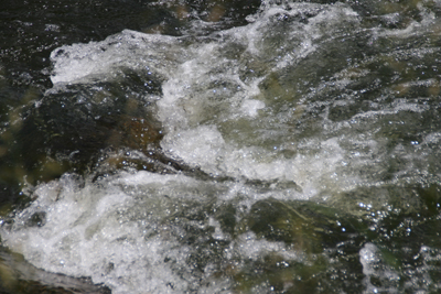 Nature's Persona - Water Series - Susan Searway Art & Design © 2013