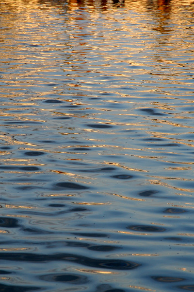 Nature's Persona - Water Series - Susan Searway Art & Design © 2013