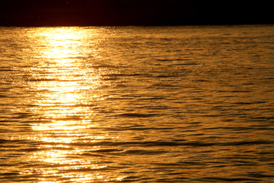 Nature's Persona - Water Series - Susan Searway Art & Design © 2013