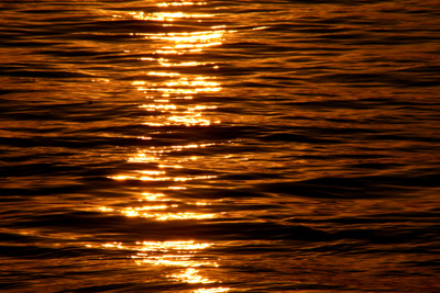 Nature's Persona - Water Series - Susan Searway Art & Design © 2013