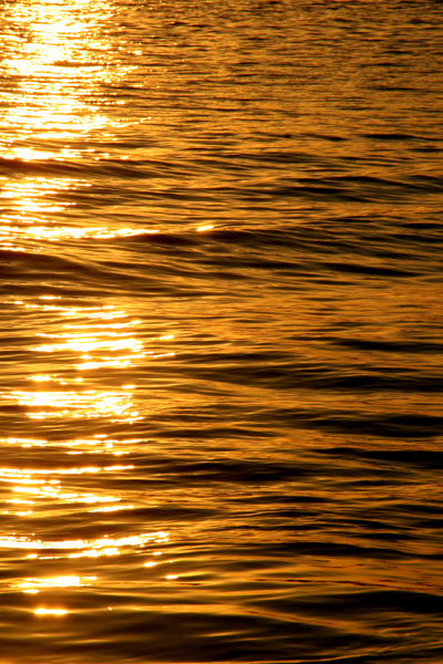 Nature's Persona - Water Series - Susan Searway Art & Design © 2013